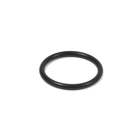 Briggs & Stratton SEAL-O RING 555601
